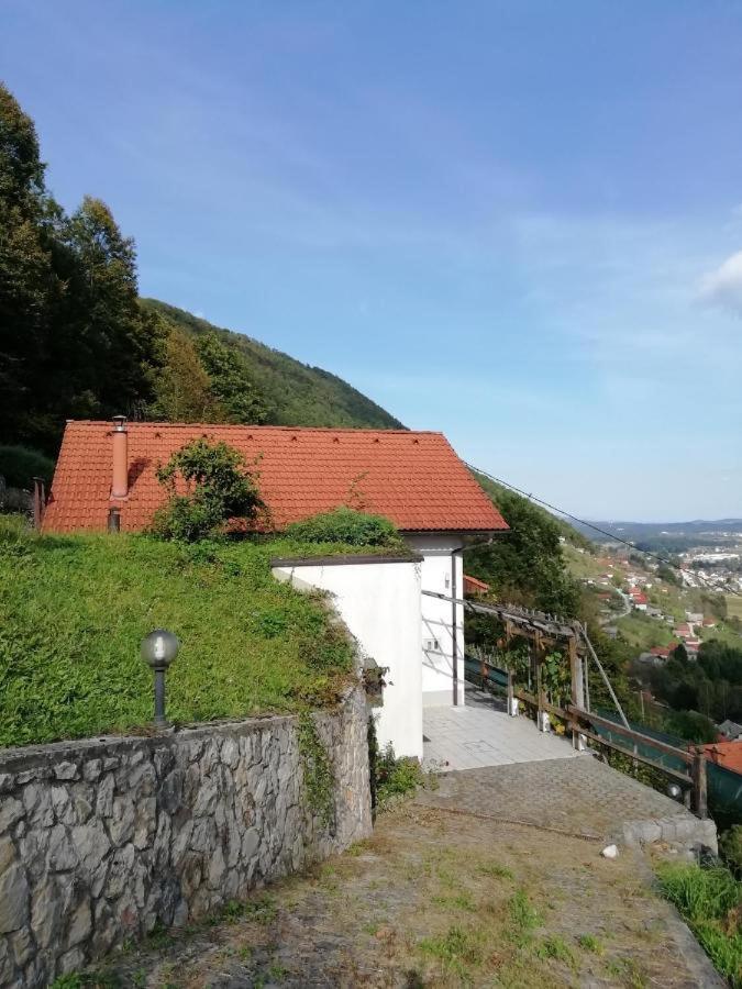 Villa Wine House, Zidanica Gruden Novo Mesto Esterno foto