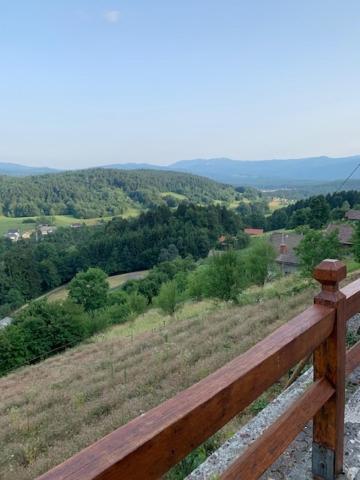 Villa Wine House, Zidanica Gruden Novo Mesto Esterno foto